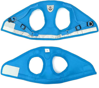 FEimaX Dog Harness and Leash Set for Walking, Soft Mesh Adjustable Easy Control Lightweight Cat Vest Harnesses with Reflective Strips, Escape Proof Small Dogs Cats Vests (Azure, Small)