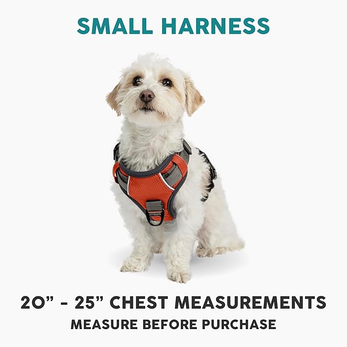Embark Adventure Small Dog Harness – No-Pull, Reflective Trim, Military-Grade Nylon, Front Clip with Gel-Lined Handle