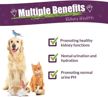 Amber NaturalZ Kidney Rejuvenator Herbal Supplement for Dogs, Cats, Birds, Rabbits, and Guinea Pigs | Supports Normal Kidney Function | Natural Aid for Kidney Health 4 Fluid Ounces