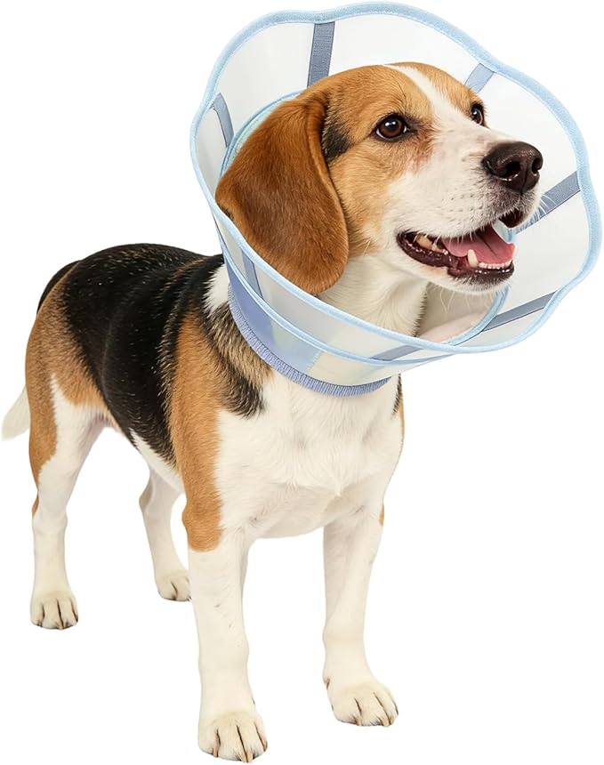 Touchdog Soft Dog Cone Collar,Waterproof & Foldable Elizabethan Collar for Dogs After Surgery, No Lick Recovery E-Collar, Comfortable Protective Cone Alternative for Small Medium Large Dogs (Blue, S)
