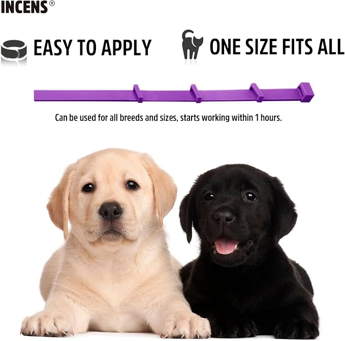 Calming Collar for Dogs, Designed to Alleviate Anxiety in Dogs, is Adjustable and Lasts for 45 Days. It is Suitable for Small and Large Dogs, and Comes in Purple - 1 Pcs
