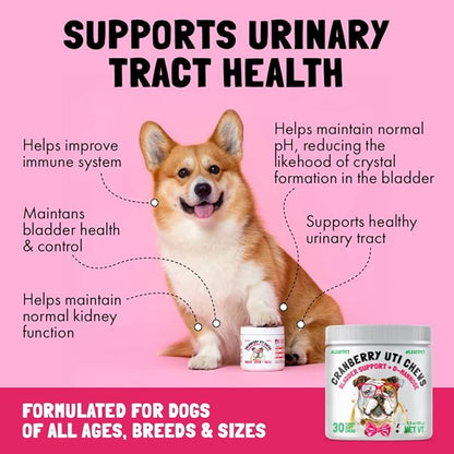 Cranberry UTI Chews for Dogs Bladder Support + D-Mannose Supports Kidney Urinary Tract 30 Chews and Liquid Glucosamine for Dogs Bacon Flavour with Chondroitin, MSM & Hyaluronic Acid 8 oz
