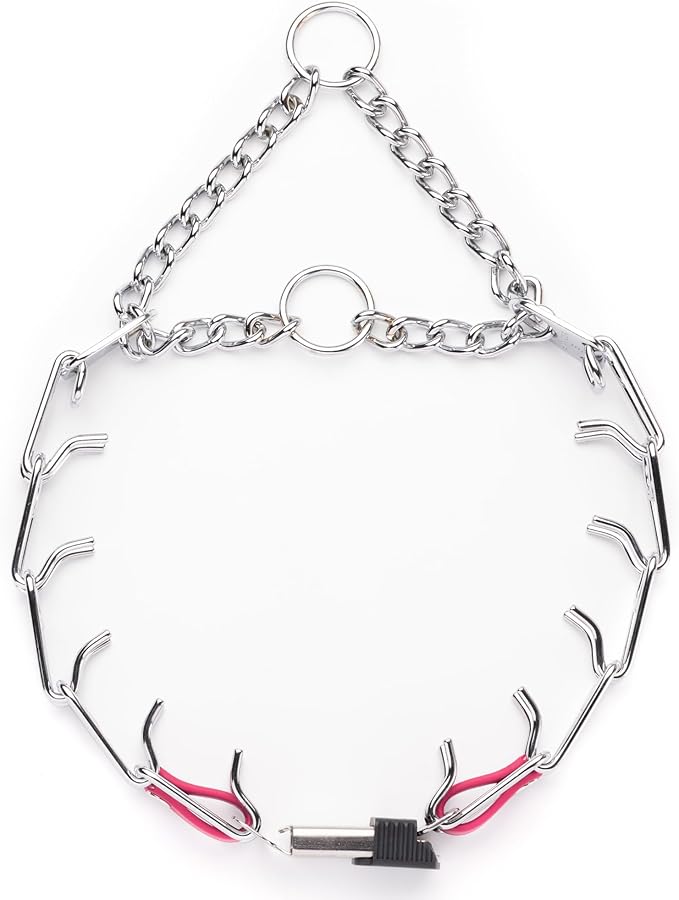 Herm Sprenger Chrome Plated Steel Dog Collar with Quick Release ClicLock Buckle O-Ring Biothane Insert Training Collar Made in Germany (Passionfruit Pink, 22in x 3.0mm(Neck Size up to 18-19in))