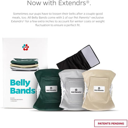 Pet Parents® Washable Belly Bands for Male Dogs (3pack) + Extendrs® of Durable Dog Diapers Male, Premium Male Dog Diapers & Dog Wraps (X-Small, Spruce)