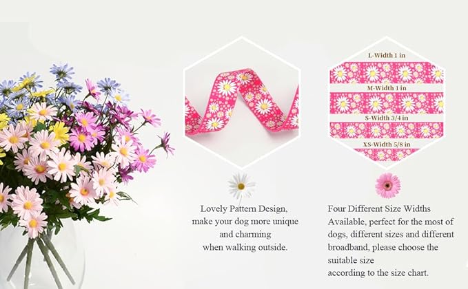Pink Martingale Dog Collar and Leash Set for Female Dogs, Cute Daisy Pattern Girl Dog Collar, Adjustable Soft Durable Pet Collar with 5ft Matching Leash for Small Medium Large Dogs