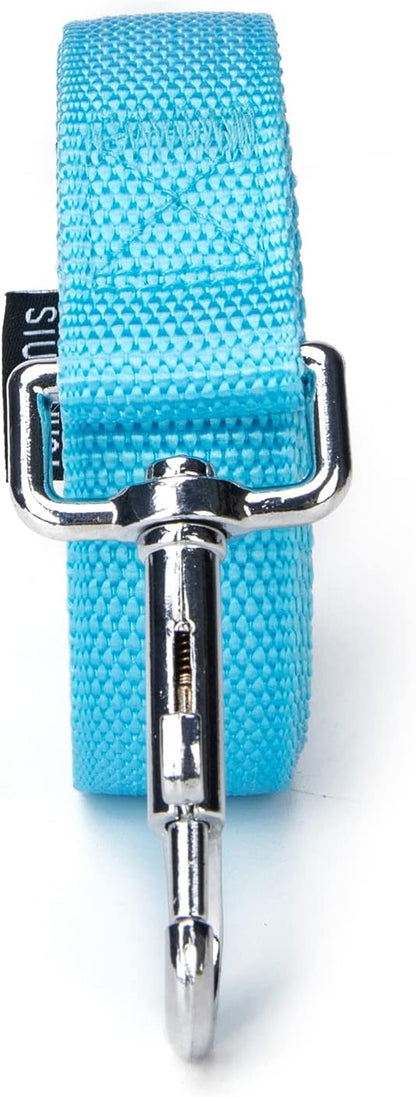 Strong Durable Nylon Dog Training Leash, 1 Inch Wide Traction Rope, 6 ft Long, for Small and Medium Dog (Mint Blue, 6 Feet)