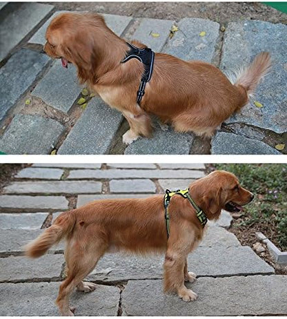 JUXZH Truelove No Pull Dog Harness with Easy Control Handle and 2 Leash Attachments ,Reflective Adjustable Pet Vest