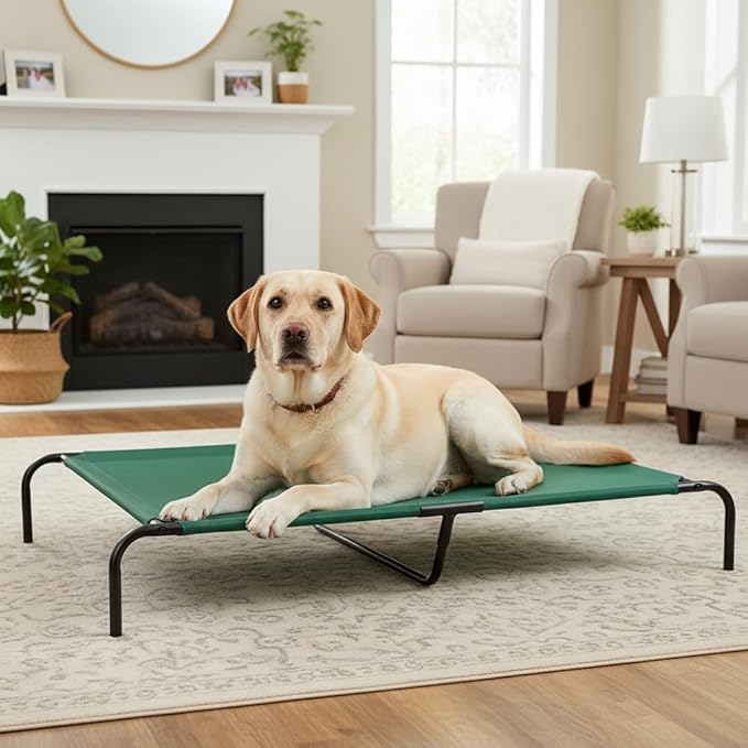 Amazon Basics Cooling Breathable Elevated Dog Bed with Durable Metal Frame for Large Dogs, X-Large, 60 x 37 x 9 Inch, Green, Easy to Clean