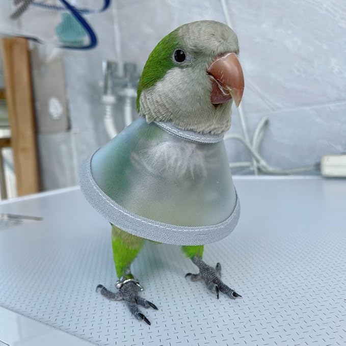 Adjustable Parrot Cone Collar, Safe and Practical Cotton Collar to Prevent Bites and Licking Wounds, to Help heal (M)