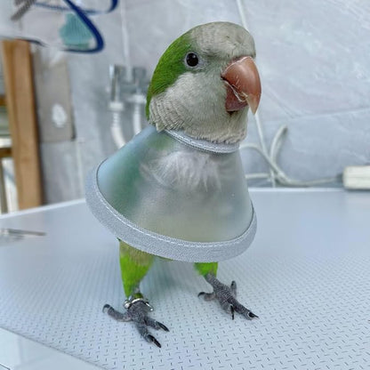 Adjustable Parrot Cone Collar, Safe and Practical Cotton Collar to Prevent Bites and Licking Wounds, to Help heal (M)