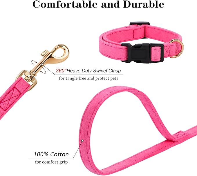 No Pull Dog Harness- Lightweight, Soft, Adjustable Small Harness Collar and Leash Set, Suitable for Cats Puppy Small and Medium-Sized Dog Outdoor Training and Running (hotpink, M)