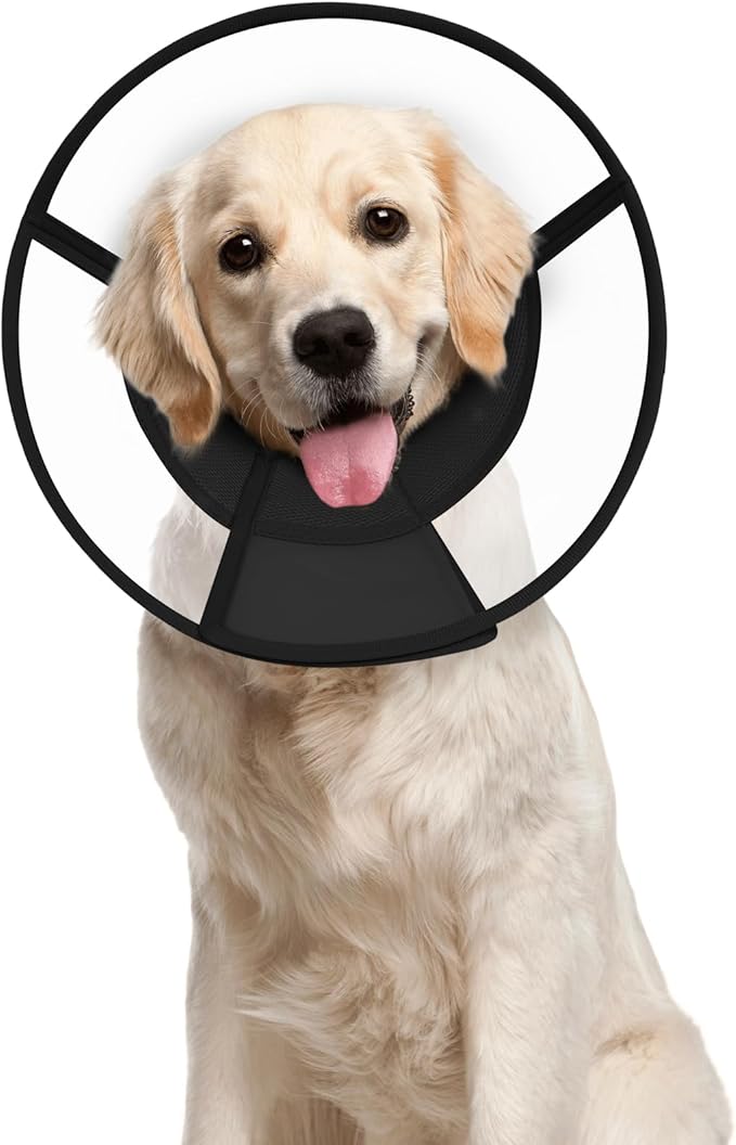 Dog Cone Collar After Surgery to Stop Licking, with Soft Waterproof Liner, Transparent PVC, for Large Medium Dogs, Elizabeth Neck Recovery Collar ALtermative(2XL)