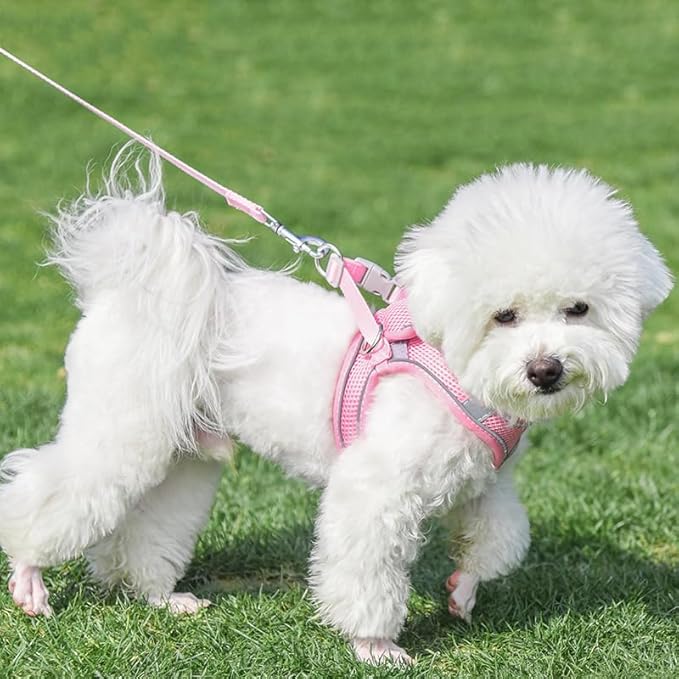 AIITLE No Pull Dog Harness and Leash Set, Step in Adjustable Dog Harness with Padded Vest for All Weather, Dog Leash with Soft Padded Handle, Easy to Put on Small and Medium Dogs Pure Pink S