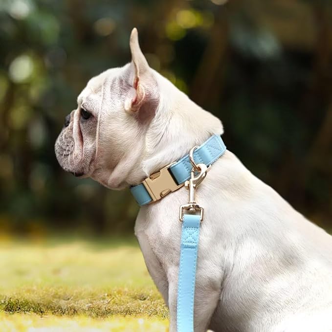 PET ARTIST Soft PU Leather Dog Collar and Leash Set, Bright & Stylish 5FT PU Leather Leash and Collar Set, Durable Pet Collars with Quick Release Metal Buckle for Large Dogs,Blue,L(16-27")