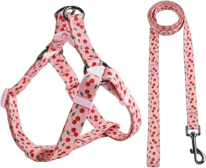 Harness and Leash Set, Floral Pattern, 5ft Matching Leash, No Pull, Easy Wear for Small Puppy Dogs.(XS, Pink Cherry)