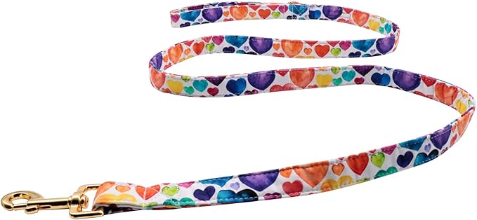 Lionet Paws Valentine's Day Dog Leash & Collar Set - Matching, Adjustable for Small to Large Dogs