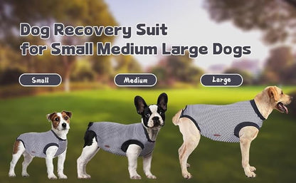 Dog Recovery Suit, Dog Surgical Recovery Suit, Onesie Bodysuit for Surgery Neuter Male Female, Spay Shirt for Anti Licking, Gray, XL