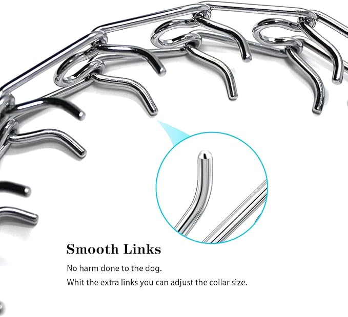 Prong Pinch Collar for Dogs with Quick Release Buckle, Adjustable Training Collar for Small Medium Large Dogs, Helps Prevent Dog from Pulling (3.8mm, Neck Size 27"-29"), Silver
