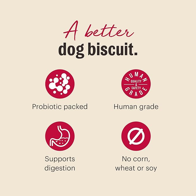 The Honest Kitchen Human Grade Dog Treats Goat's Milk N' Cookies: Slow Baked with Peanut Butter & Honey, 8 oz Bag