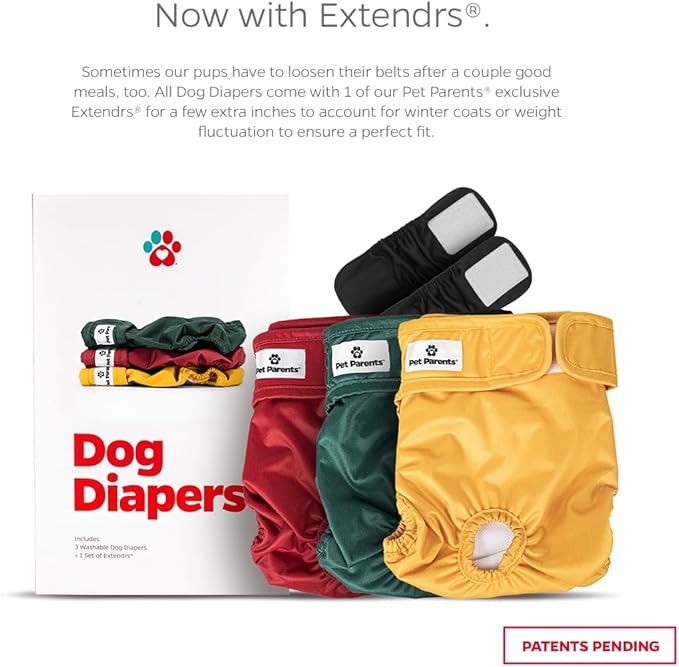 Pet Parents® Washable Dog Diapers (3pack) + Extendrs® of Durable Doggie Diapers, Premium Dog Diapers Female (Medium, Samba)