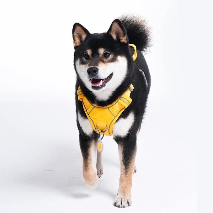 Pawaii No Pull Dog Harness with Pet ID Tag,Reflective Strips No Choke Front O Ring Breathable Mesh Adjustable Soft Padded Pet Vest with Easy Control Handle for Small Dogs