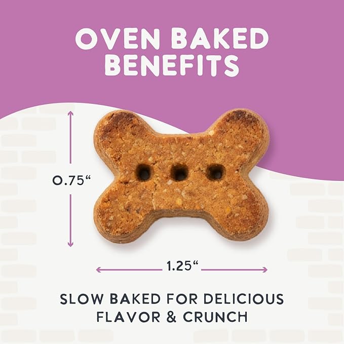 Health Extension Oven-Baked Dog Treats, Lamb Recipe – Gluten & Wheat-Free, Superfood-Infused, Crunchy Biscuits for Puppy Training (6oz)