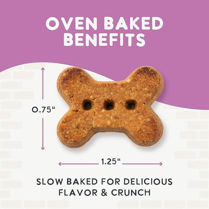 Health Extension Oven-Baked Dog Treats, Lamb Recipe – Gluten & Wheat-Free, Superfood-Infused, Crunchy Biscuits for Puppy Training (6oz)