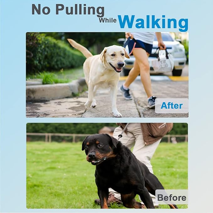 Prong Collar for Dogs, Adjustable Size Dog Training Collar Dog Pinch Collar with Quick Release Buckle for Small Medium Large Dogs(Packed with Two Extra Links)