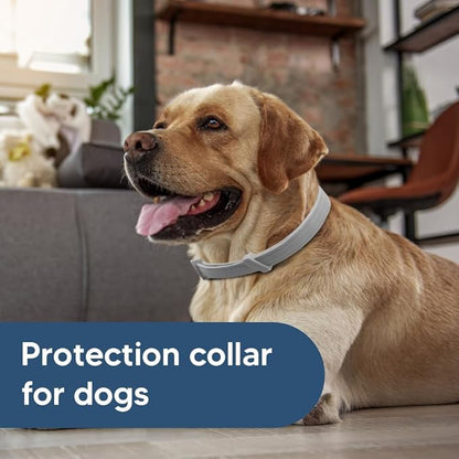 Flea Collar for Dogs, Tick and Fleas Collar for Large Dog, Adjustable Dog Tick Collars for Medium & Large Breeds, Sturdy with 8 Months Protection-Pack of 2