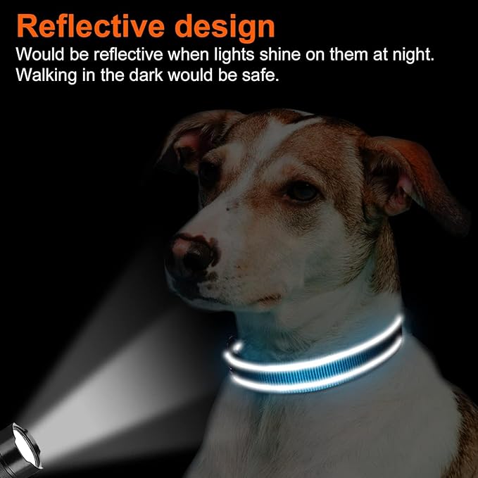 Joytale Reflective Dog Collar, Soft Neoprene Padded, Metal D-Ring, Nylon Pet Collar Adjustable for Small Dogs, Sky Blue, S