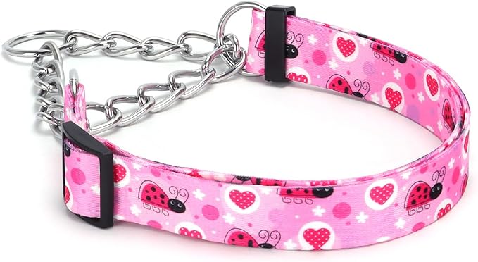 Martingale Dog Collar with Stainless Steel Chain - Limited Chain Cinch Training Collar for No Pull Training Dog - Flower Multicolor Cute Patterns - Premium No Slip Collar (HA12NO20, L)