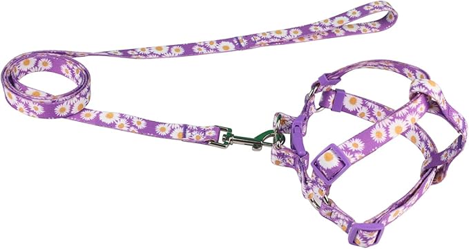 Harness and Leash Set, Floral Pattern, 5ft Matching Leash, No Pull, Easy Wear for Small Dogs.(S, Purple Daisy)