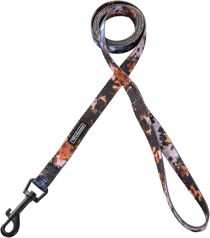 Dog Collar and Leash Set for XSmall Small Medium Large Dogs, Rainbow Stripes, Tie Dye Dog Collar (S(9.9''-11.8''))