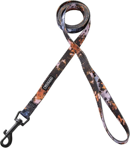 Dog Collar and Leash Set for XSmall Small Medium Large Dogs, Rainbow Stripes, Tie Dye Dog Collar (S(9.9''-11.8''))