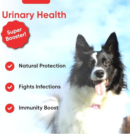 iHeartDogs Extra Strength Urinary, Bladder, & Kidney Support for Dogs – Cranberry, D-Mannose & Echinacea Helps Maintain Urinary Tract Health, Strengthens Weak & Incontinent Bladder