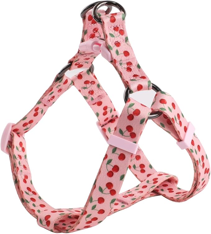 Harness and Leash Set, Floral Pattern, 5ft Matching Leash, No Pull, Easy Wear for Medium Dogs.(M, Pink Cherry)