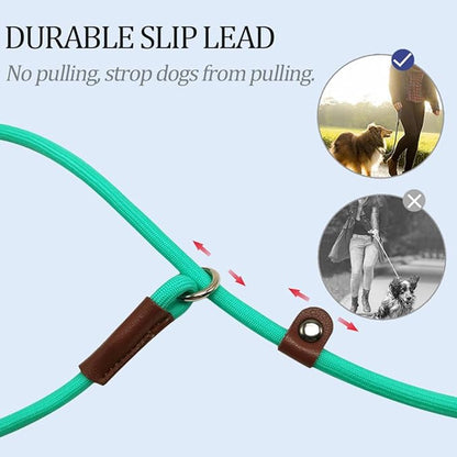 MayPaw Slip Lead Control Leash for Dogs No Pull, 13+ Colors Classic Dog Lead 7 FT Pet Slip Leash, 1/4” Rope Leashes for Small Medium Animals (7ft*1/4", Turquoise)
