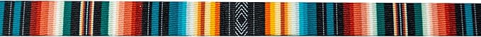 Wolfgang Heavy Duty Martingale Dog Collar with Quick Release Nylon Buckle for Walking & Training, LostArt Print, Small