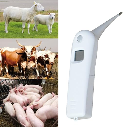 Pet Thermometer, Fast Digital Veterinary Thermometer for Dogs, Cats, Horse,Cattle, Pigs,Birds, Sheep. ﻿