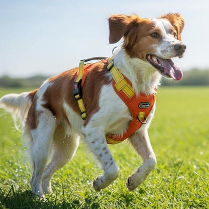 Tactical Dog Harness for Large Medium Dogs No Pull Adjustable Pet Vest with Reflective Straps Front & Back Clips Handle for Hiking Walking Hunting– 4 Sizes with or Without Leash (Orange, M)