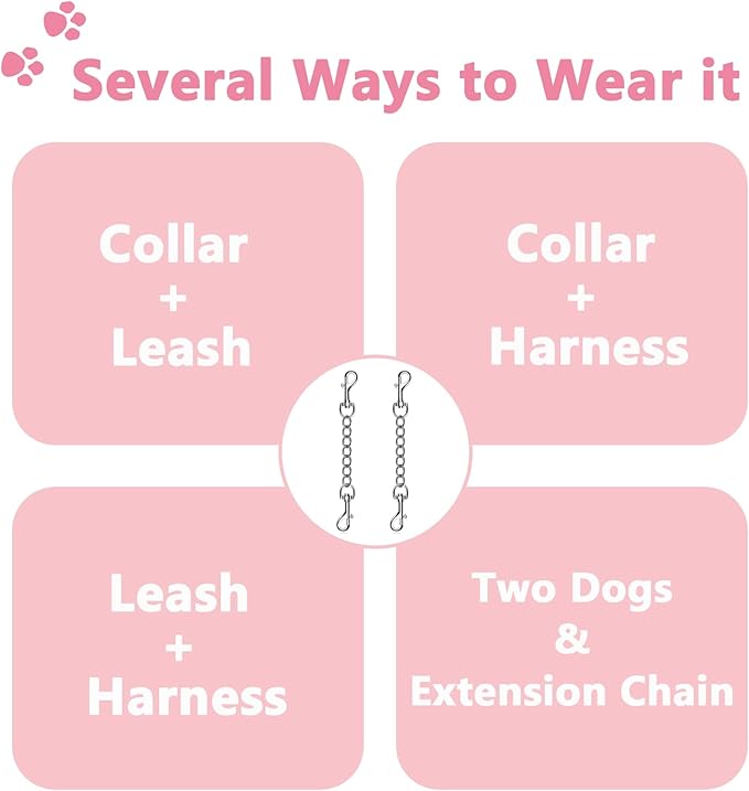 2 PCS Dog Collar Metal Safety Clip, Harness Collar Leash Chain Connector, Heavy Duty Double End Spring Backup Buckle Clasp, Escape-Proof Safety Accessory (Medium, Silver)