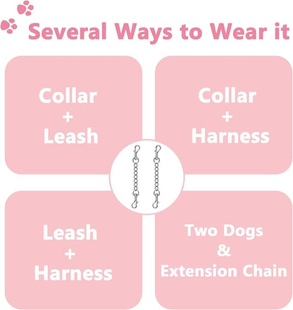 2 PCS Dog Collar Metal Safety Clip, Harness Collar Leash Chain Connector, Heavy Duty Double End Spring Backup Buckle Clasp, Escape-Proof Safety Accessory (Medium, Silver)