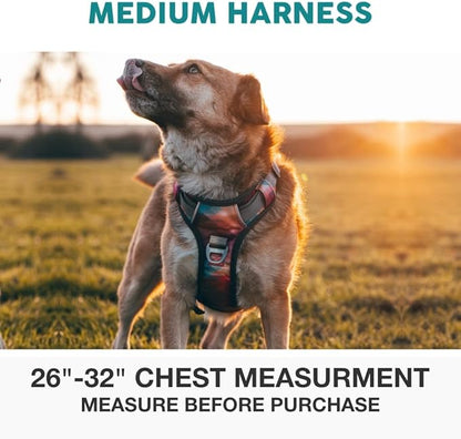 Embark Adventure No Pull Dog Harness, Reflective Trim No Pull Harness for Medium Sized Dog - Military Grade Nylon, Front Clip with Gel Lined Handle. Soft & Padded Puppy