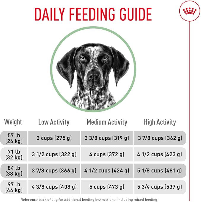 Royal Canin Canine Care Nutrition Large Digestive Care Adult Dry Dog Food, 30 lb Bag
