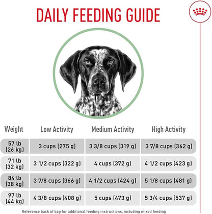 Royal Canin Canine Care Nutrition Large Digestive Care Adult Dry Dog Food, 30 lb Bag