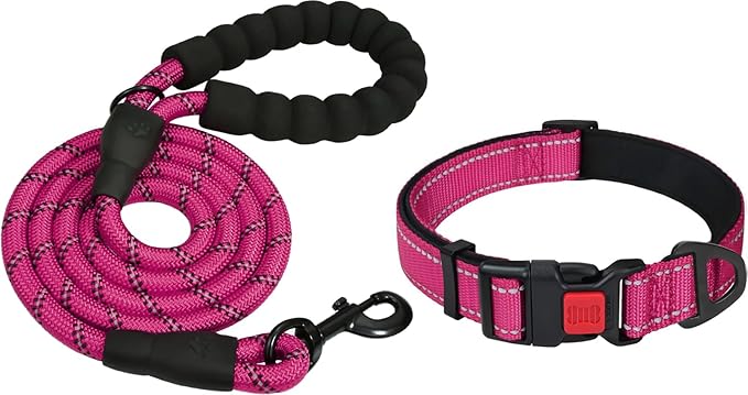 Taglory 16-24" Length, 1" Wide Dog Collar and Leash Set, 1/2" x 6 FT Highly Reflective Threads Dog Leash for Medium and Large Dogs,Hotpink
