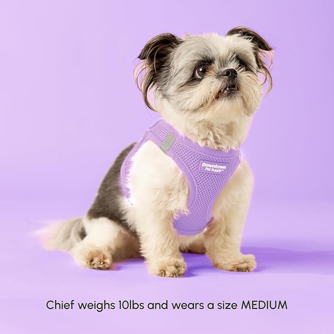 Downtown Pet Supply Step in Dog Harness for Small Dogs - Adjustable, Escape Proof Dog Harness with Reflective Trim - All-Weather, Fast-Drying Padded Mesh Fabric - Lilac, XS