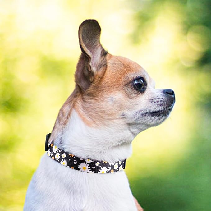 QQPETS Adjustable Soft Dog Collar: Print Flower Pink Multicolor Cute Patterns for XS Small Medium Large Pet Girl Boy Puppy Walking Running Training (L, White Daisy)