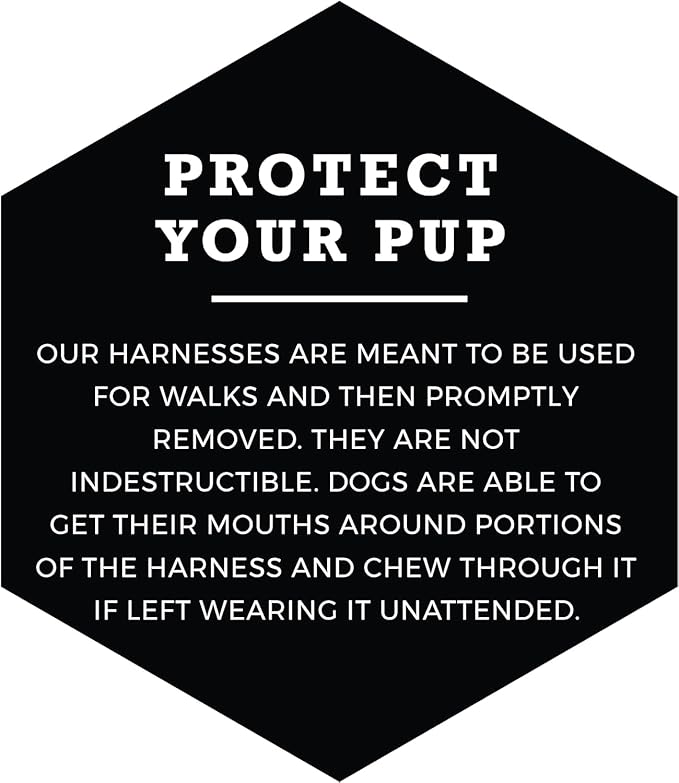 Wolfgang Heavy Duty Adjustable Dog Harness, Pull-Tested to Over 800 lbs for Walking & Training, FlutterColor Print, Small