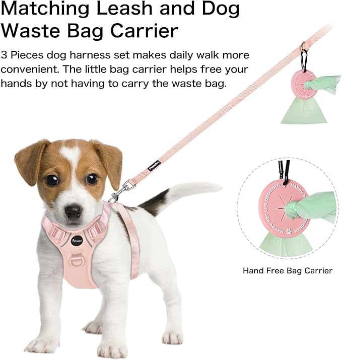 Petmolico Dog Harness for Small Dogs, Cute Harness Vest with Two Leash Clips and Soft Handle, Reflective Easy Walk Puppy Vest - Pink, Small
